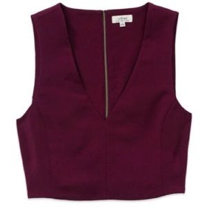 ✨Wilfred Dauphine Zipper Back Crop Top Size Small